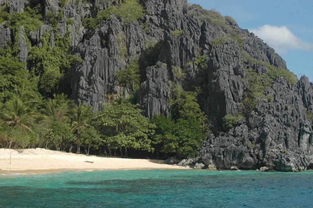 Coral Bay Beach And Dive Resort Busuanga Luaran gambar