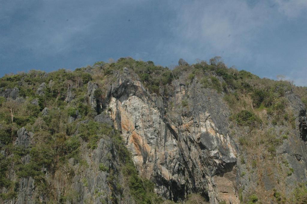 Coral Bay Beach And Dive Resort Busuanga Luaran gambar